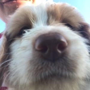 Meet your Posher, Sarah